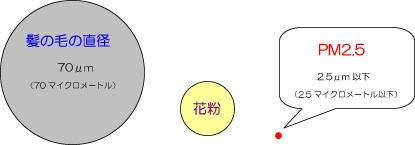 微小粒子状物質PM2.5の大きさを髪の毛、花粉と比較した図