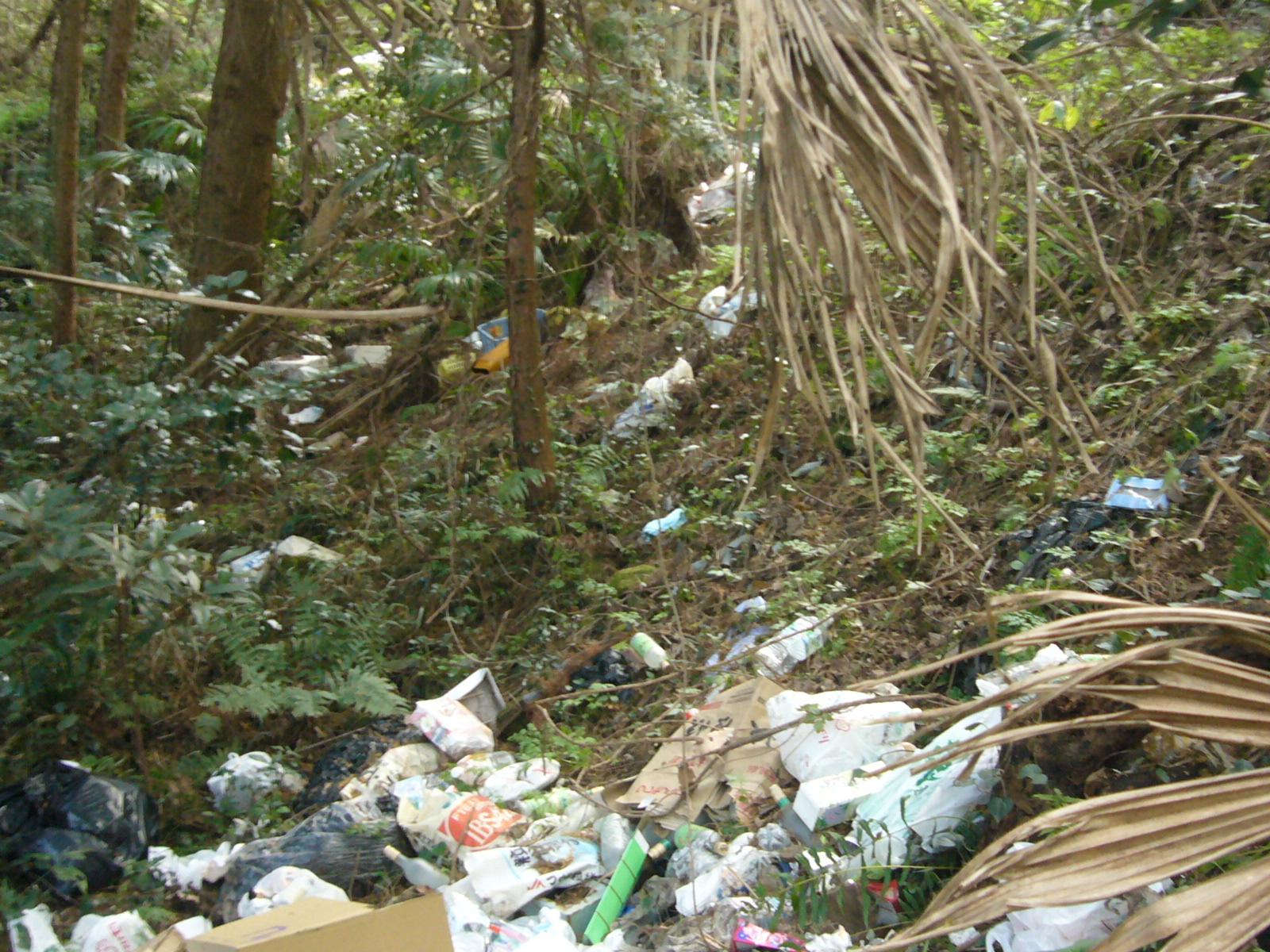 山中に不法投棄された大量のゴミが散在している写真