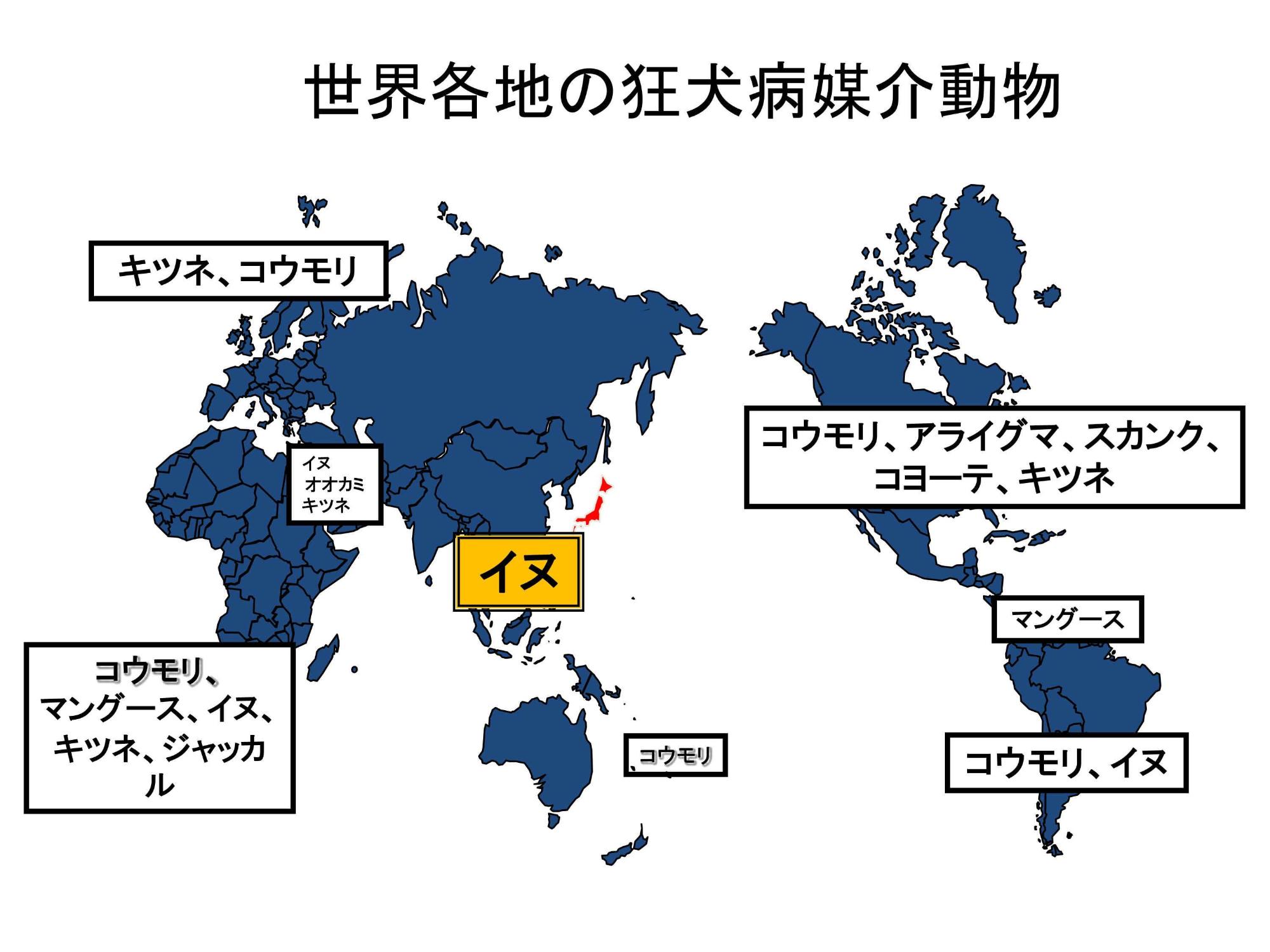 狂犬病媒介動物を記載した世界地図。日本は犬のみ。