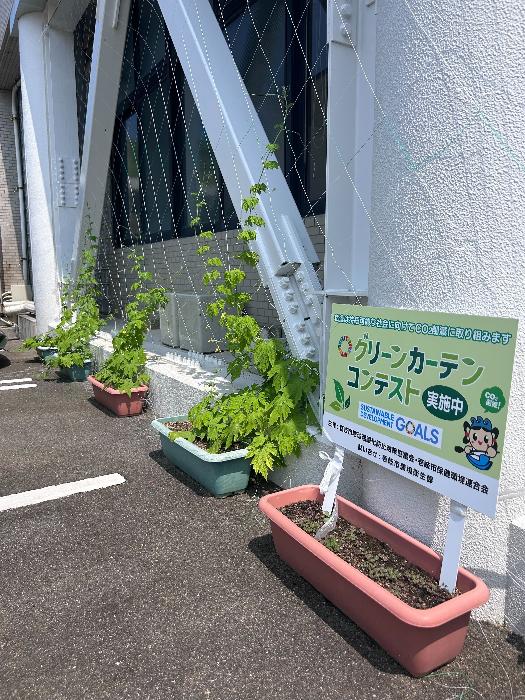 R7芦辺グリーンカーテン