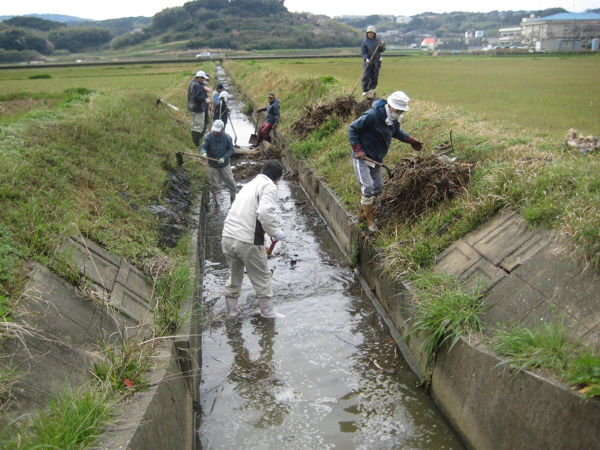 排水路の泥上げをする人々の写真