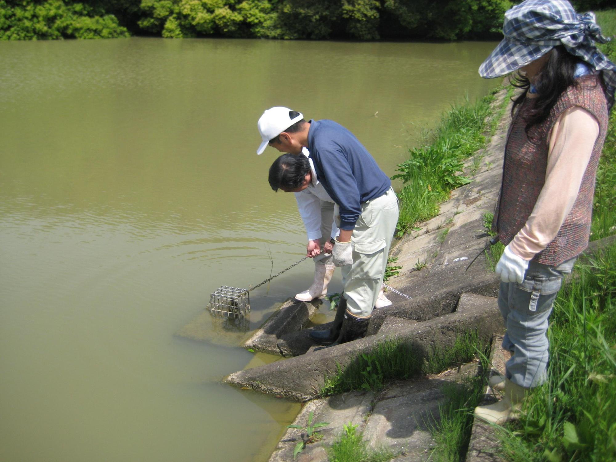 ため池の水位を下げる作業をする人々の写真