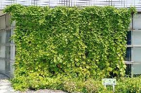 優秀賞　九州電力送配電株式会社＆株式会社九電送配サービス