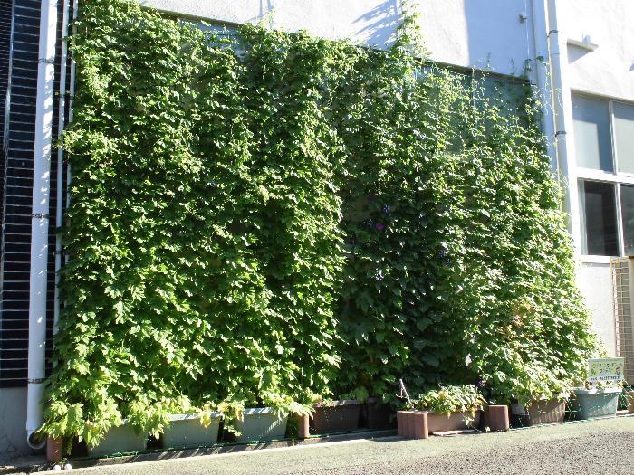 最優秀賞　壱岐市教育支援教室　太陽