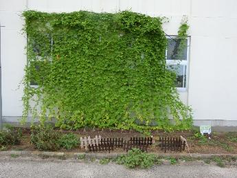 奨励賞　渡良小学校