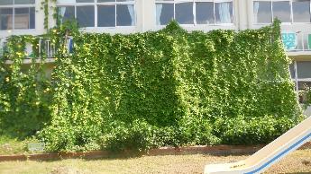 優秀賞　霞翠小学校